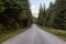 Scenic Bike path in Green Canadian Rain Forest.