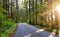 Scenic Bike path in Green Canadian Rain Forest.