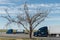 Scenic blue trucks behind a dry dead tree at at a rest stop in New Mexico