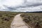 Scenic Boardwalk in American Landscape. Yellowstone National Park