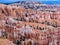 scenic Bryce canyon in afternoon light