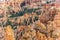 Scenic Bryce canyon landscape