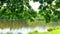 Scenic calm panorama view on lake,pond,river with quiet water in countryside rural village area with nature suburb