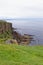 Scenic cliffs in Dunnet Head - Caithness - Scotland