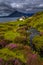 Scenic Coastal Landscape With Mountain River in Picturesque Valley With Flowers And Bridge On The Isle Of Skye In Scotland