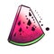 Scenic and colorful graphic watermelon drawing illustration symbol vegetables