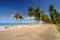 Scenic concrete road along paradise beach with palm trees and deep blue sky