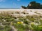 Scenic Coromandel Peninsula NZ coastline seascape