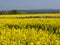 Scenic Cotswolds - colourful spring landscape