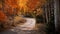 Scenic country road in Utah through tunnel of gold and red autumn trees