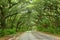 Scenic Countryside Road