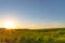 Scenic countryside sunset landscape with a plain wild grass field horizon view and a forest