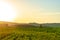 Scenic countryside sunset landscape with a plain wild grass field horizon view and a forest