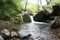 Scenic Creek In Tropical Jungle High Quality Stock Photo