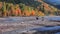 Scenic Crystal river landscape in rural Colorado in autumn time