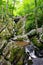 Scenic Dark Hollow Falls at Shenandoah National park in summer