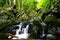 Scenic Dark Hollow Falls at Shenandoah National park in summer