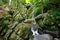 Scenic Dark Hollow Falls at Shenandoah National park in summer