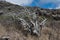 Scenic dead tree along the Makapuu Point trail in early morning, Oahu