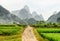 Scenic dirt road through green rice fields and karst mountains