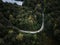 Scenic drone view of the wavy asphalt road in the woods