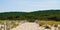 Scenic dunes panorama on bright summer day view on pines forest in Lacanau ocean beach