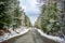 Scenic early spring view with snowy dirt road through the pass, green larch trees, snow and forest on the slopes against