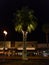 Scenic El Paseo vista at night, Palm Desert, California