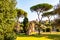 Scenic evergreen park with growing pines, velvet grass lawns and remains, ruins of Aquaduct of Claudius at the Palatine hill in