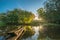 Scenic fall landscape of forest at sunrise