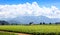 Scenic farm landscape in Skagit valley Washington