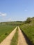 Scenic farm track and flowering hawthorn in springtime