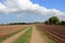 Scenic farmland with a farm track between fields of potato row