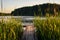 scenic fishing spot among lush green reeds by the riverside