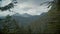 Scenic footage of a dense forest of high trees and a mountain range under the cloudy sky