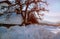 Scenic frosty day, calm wintry scene. Location Carpathian, Ukraine Europe. Tourism concept