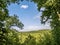 Scenic Gorge Overlook, Tinkerâ€™s Creek Overlook in Cleveland Metro Parks, Walton Hills with a vista looking out at green tree