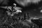 Scenic grayscale of rocky Dolomitic Mountains in Italy with a cloudscape in the background