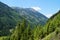 scenic green Austrian Alps of the Schladming-Dachstein region (Steiermark or Styria in Austria)