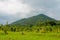 Scenic green hill landscape in Koh Samui