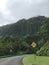 Scenic Hawaiian Highway