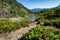 Scenic Heather Meadows area of Mt Baker National Forest