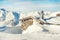 Scenic Highland alpine old abandoned stone hut with chimney snowbound by thick snow layer after blizzard. Mountain