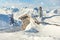 Scenic Highland alpine old abandoned stone hut with chimney snowbound by thick snow layer after blizzard. Mountain