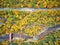 Scenic highway at autumn in New Hampshire, USA