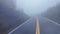 Scenic Highway surrounded by Trees. Foggy. Overcast. Port Renfrew, British Columbia, Canada