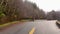 Scenic Highway surrounded by Trees. Foggy. Overcast. Port Renfrew, British Columbia, Canada