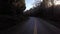 Scenic Highway surrounded by Trees. Sunny Day, Blue Sky. Port Renfrew, British Columbia, Canada