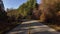 Scenic Highway surrounded by Trees. Sunny Day, Blue Sky. Port Renfrew, British Columbia, Canada