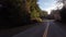 Scenic Highway surrounded by Trees. Sunny Day, Blue Sky. Port Renfrew, British Columbia, Canada